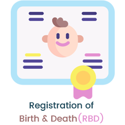 Birth Death Registration